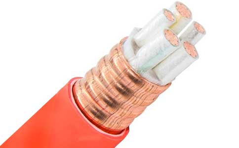 <a href='http://www.ihhc.com.cn/kuangwuzhidianlan/' target='_blank'><u>礦物質(zhì)電纜</u></a>